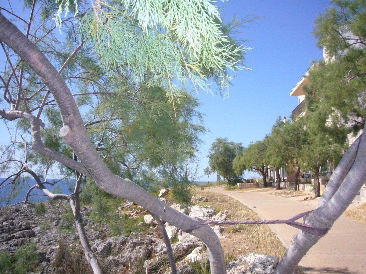 Holiday Home Randemar S'Illot  Luaran gambar