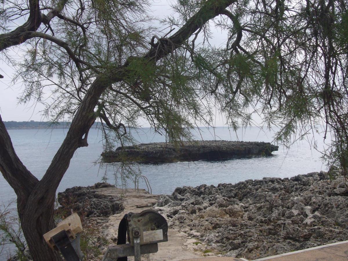 Holiday Home Randemar S'Illot  Luaran gambar