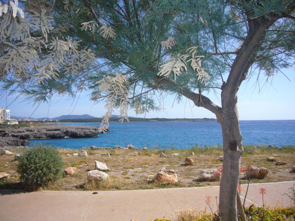 Holiday Home Randemar S'Illot  Luaran gambar